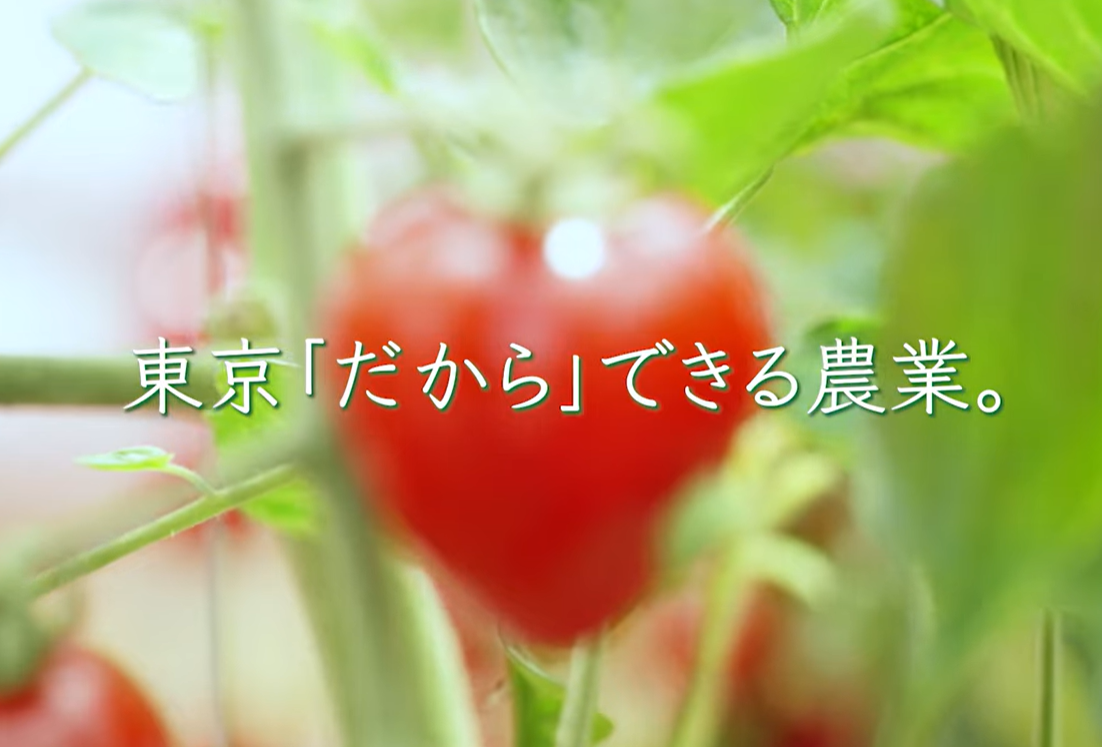 研修生募集