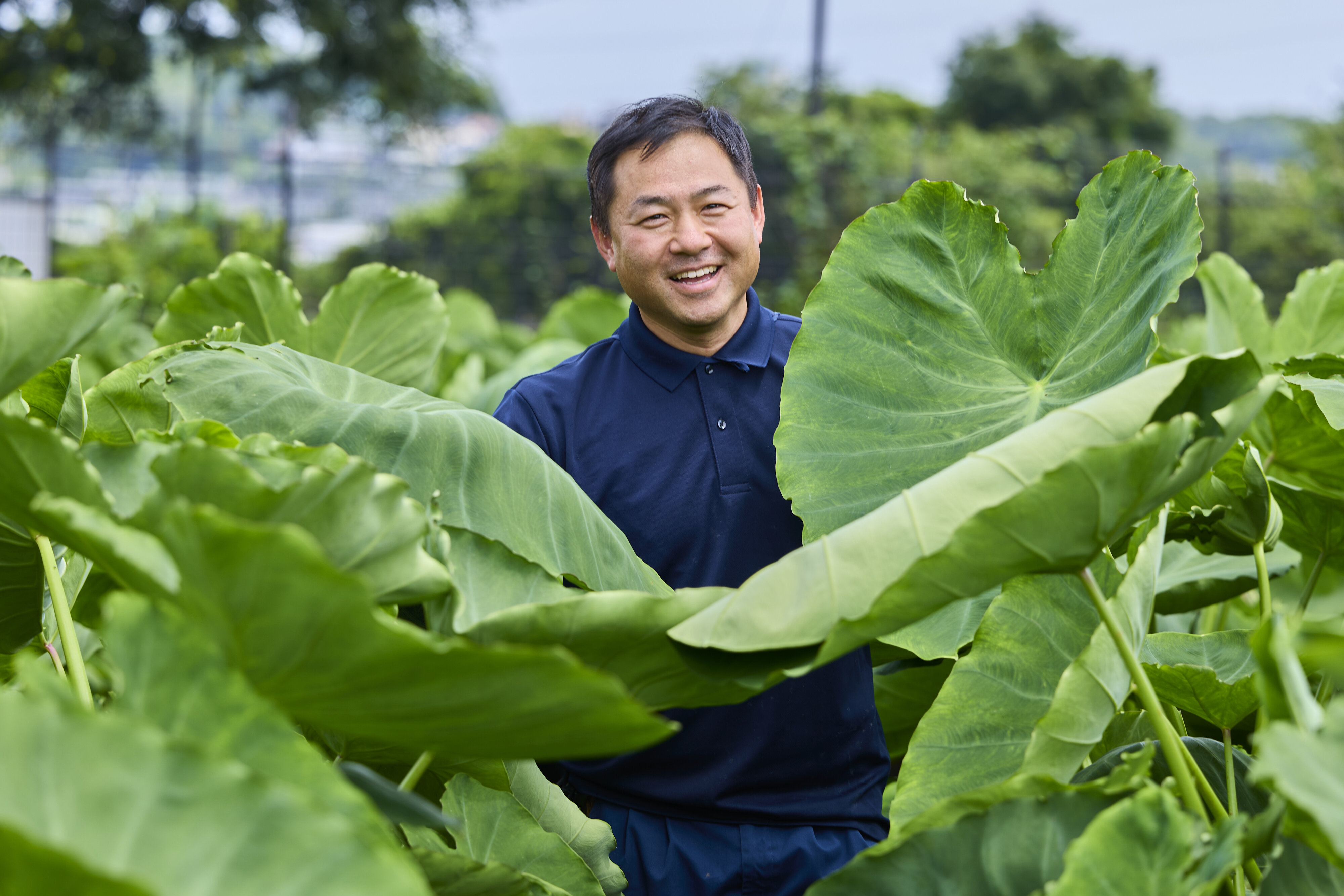 先輩受講者の声