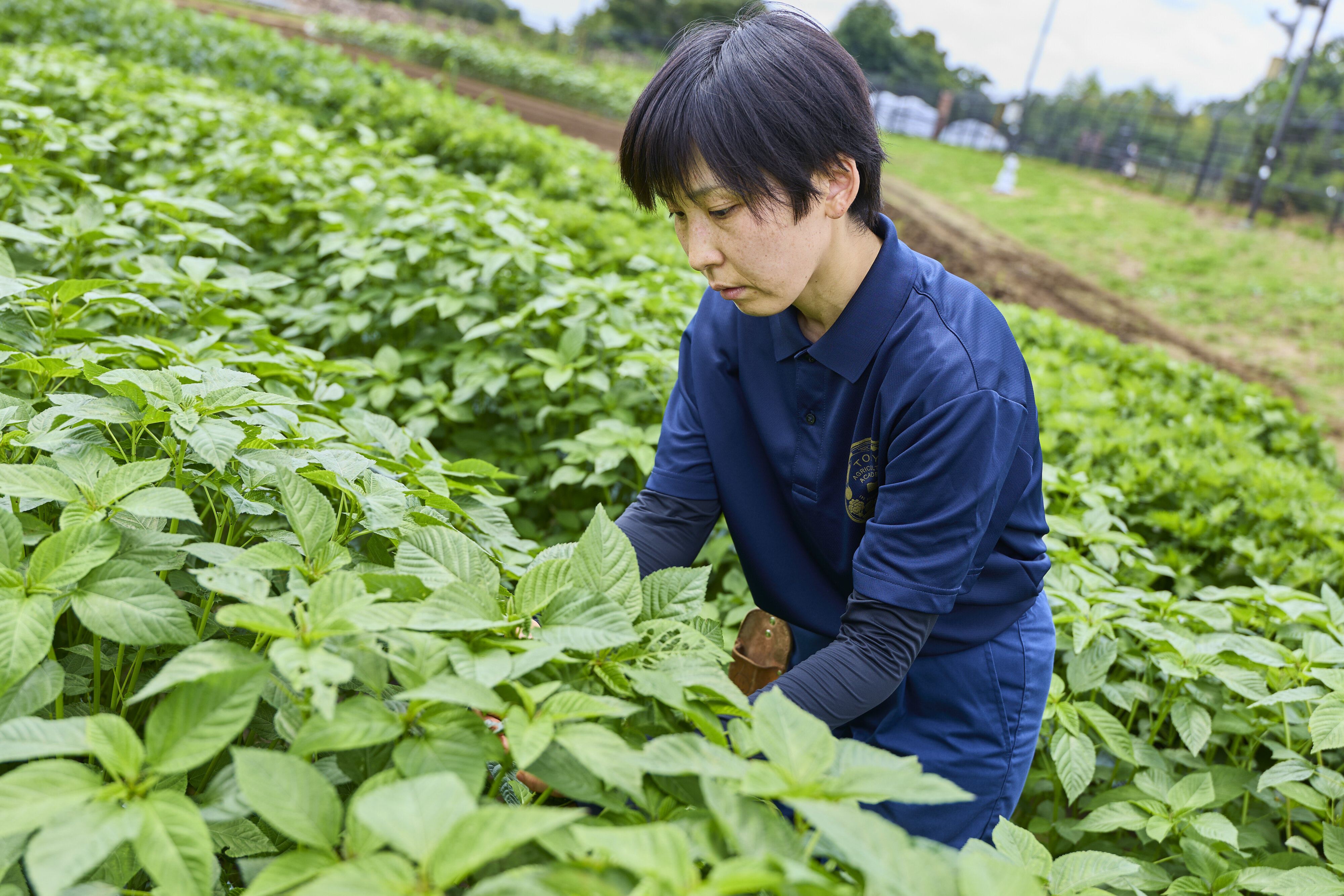 先輩受講者の声