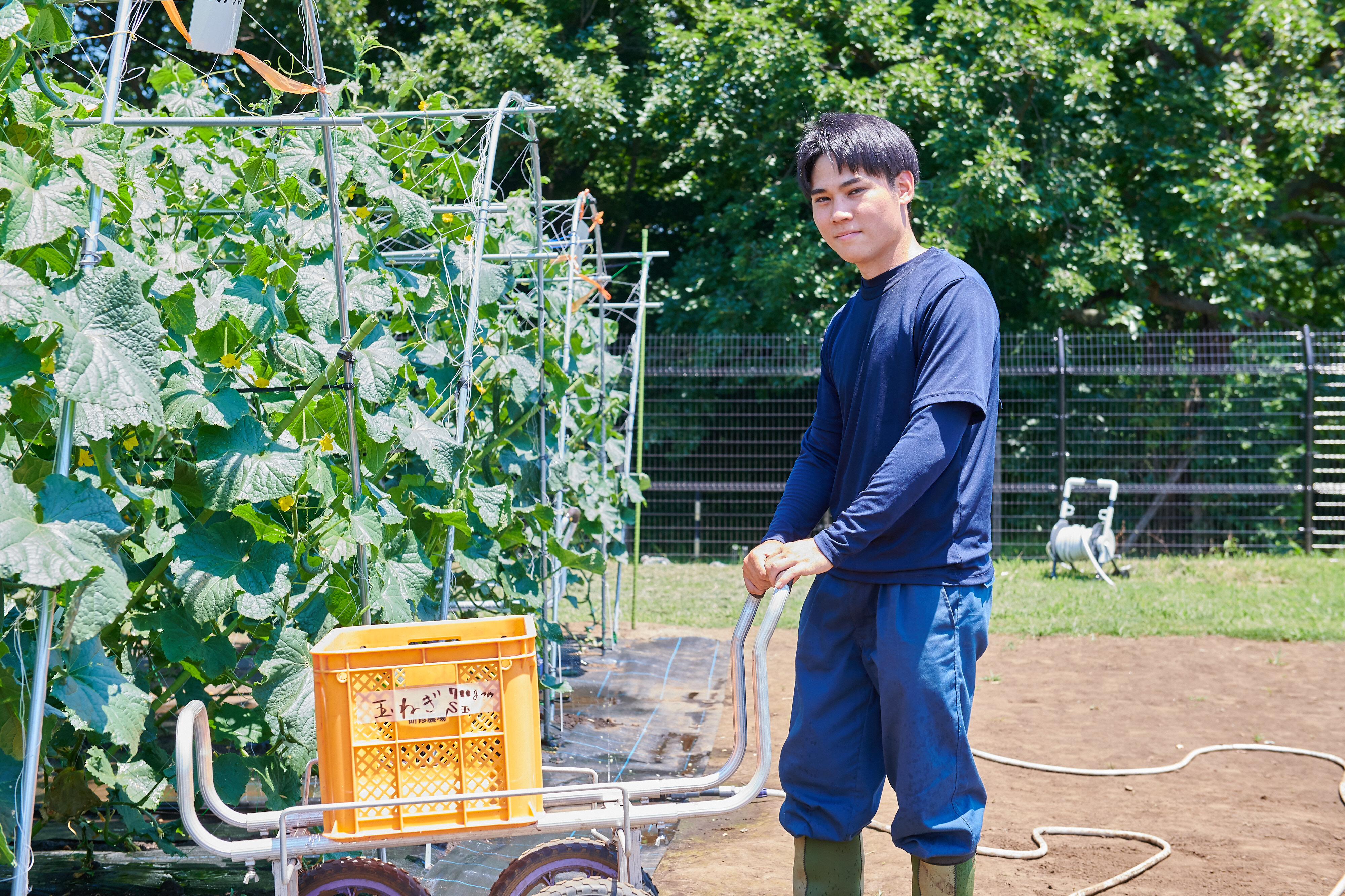 先輩受講者の声