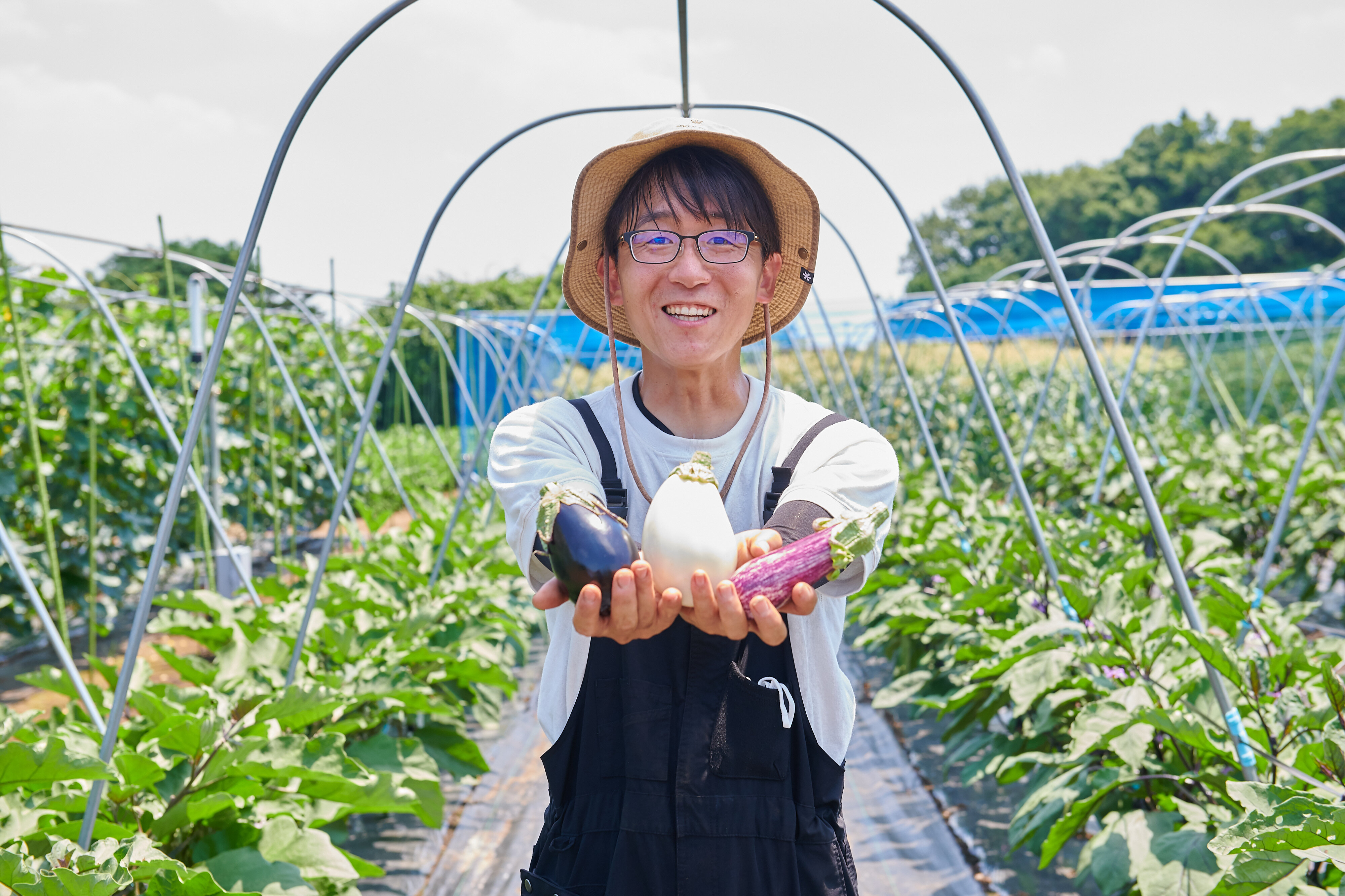 先輩受講者の声