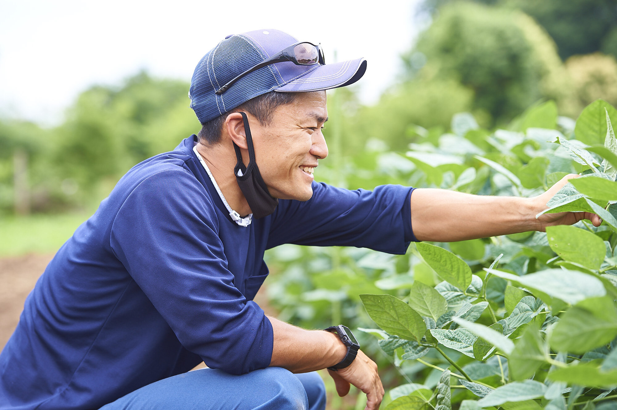 先輩受講者の声