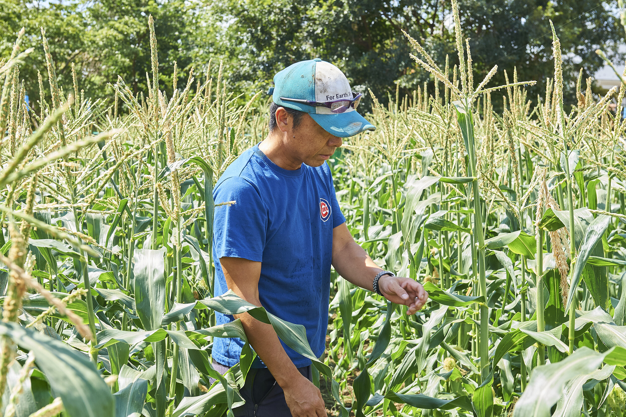 卒業生インタビュー