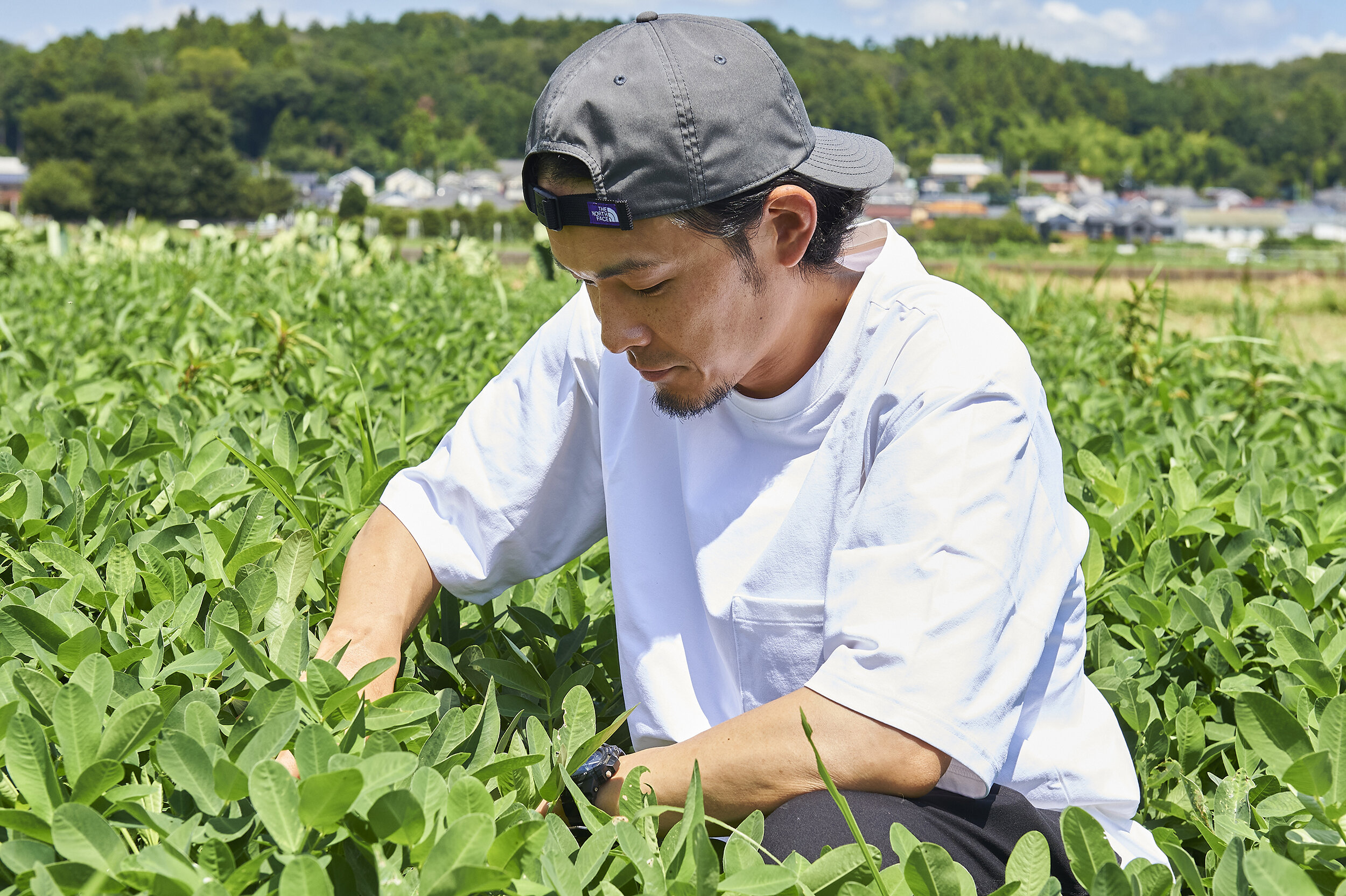 卒業生インタビュー