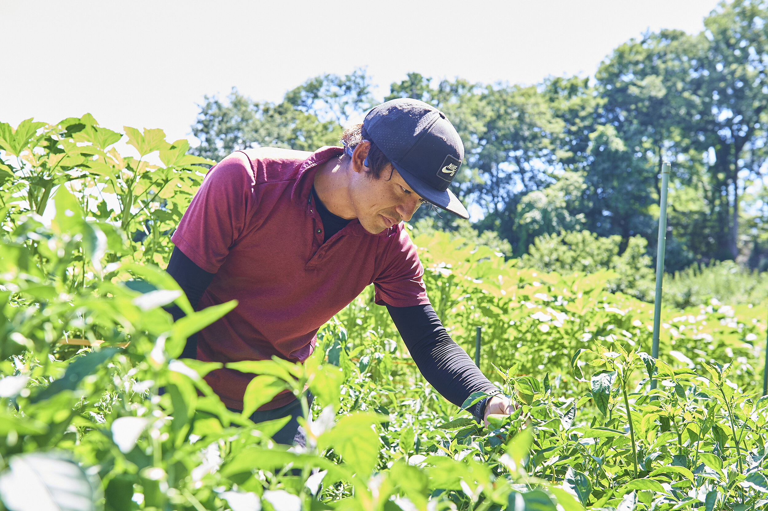 卒業生インタビュー