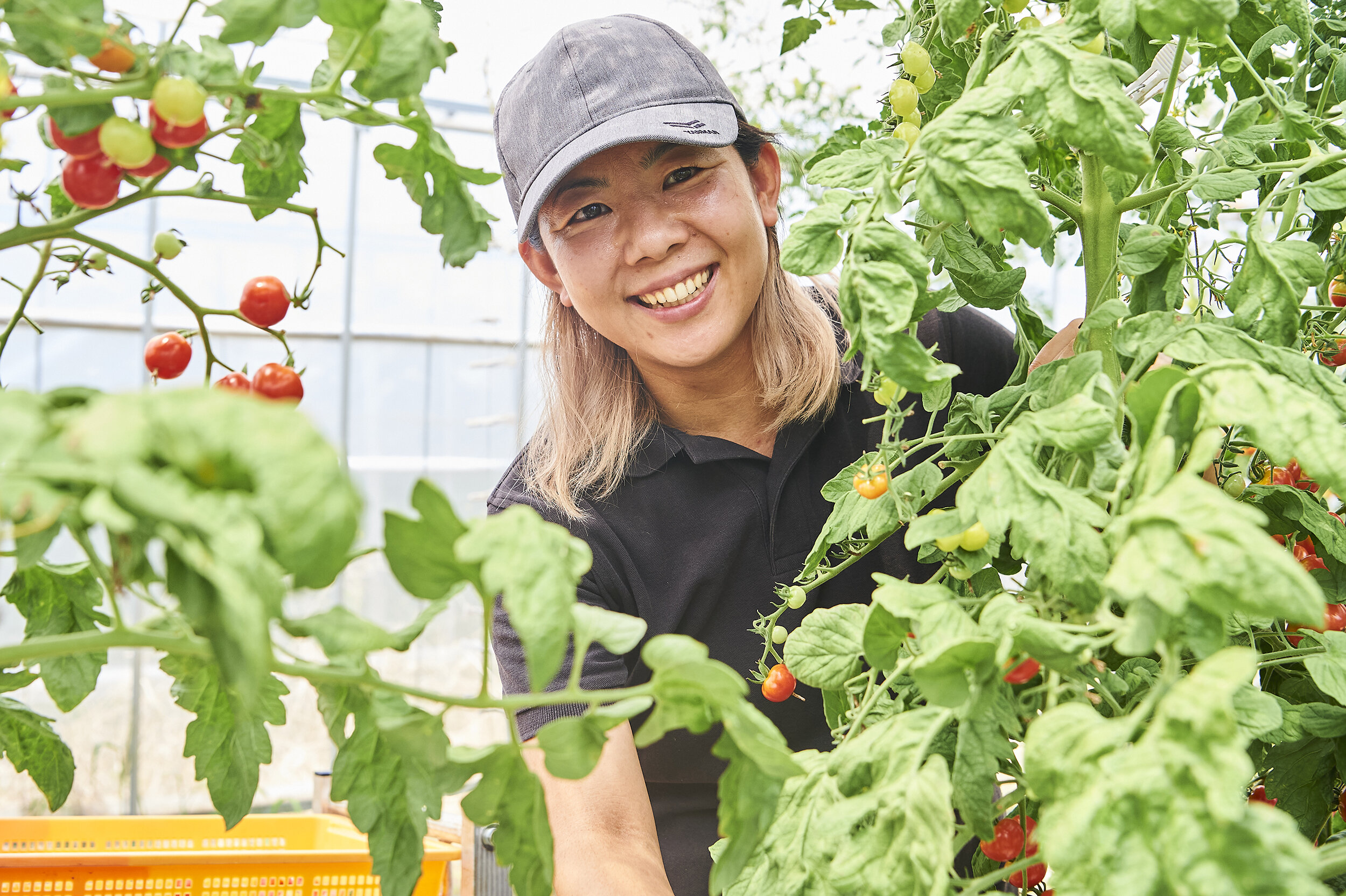 卒業生インタビュー