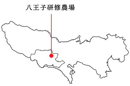 八王子研修農場