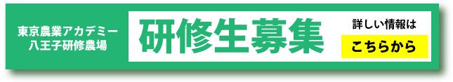 研修生募集
