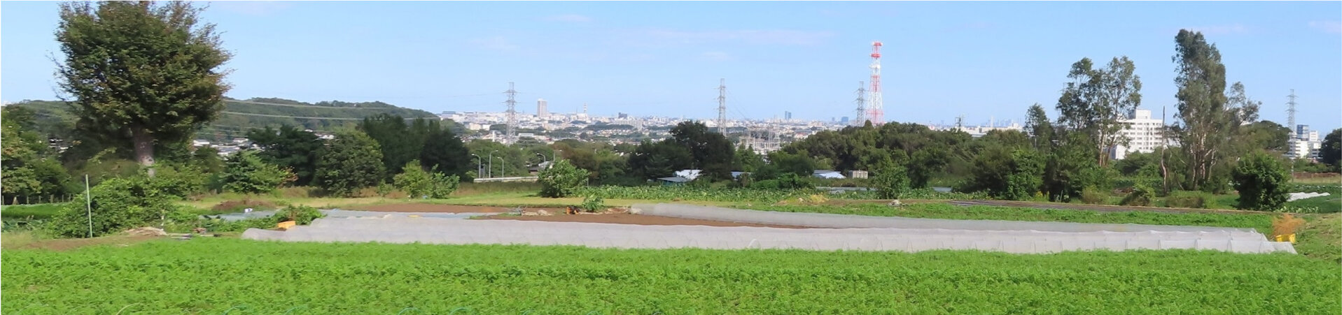 東京農業アカデミー八王子研修農場