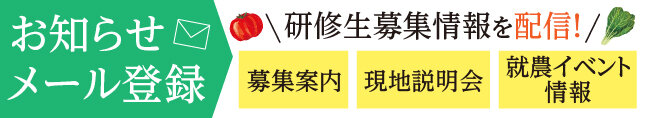 研修生募集